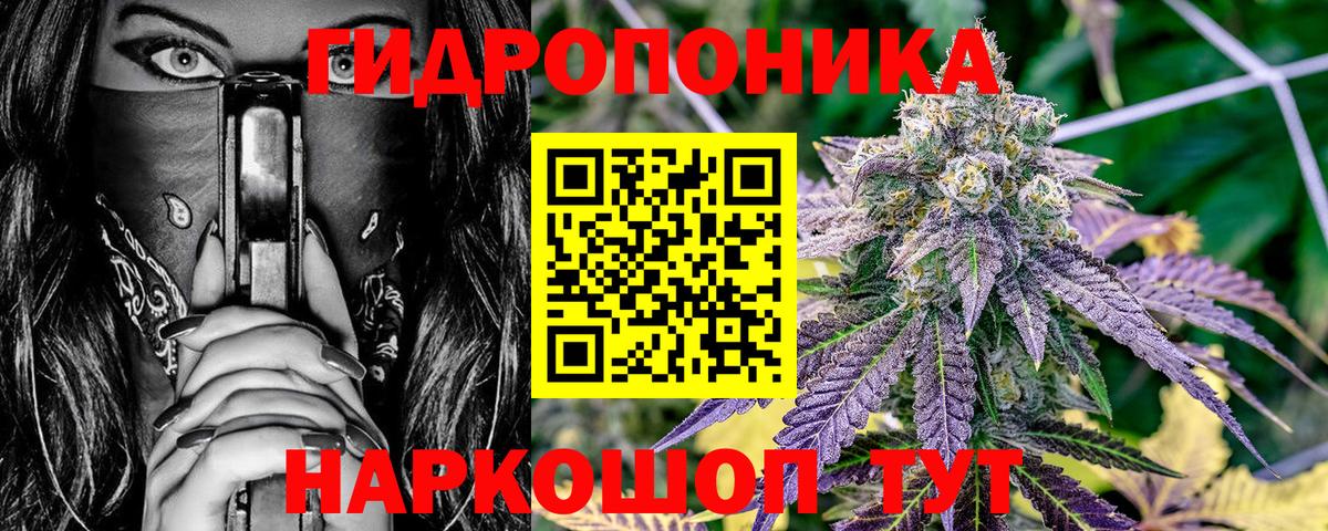 Каннабис конопля  Вход с VPN  Магадан  Шишки марихуана марихуана  Канабис SATIVA & INDICA  Бошки марихуана Ganja 